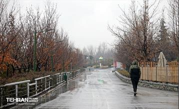 بارش باران زمستانی در تهران 32