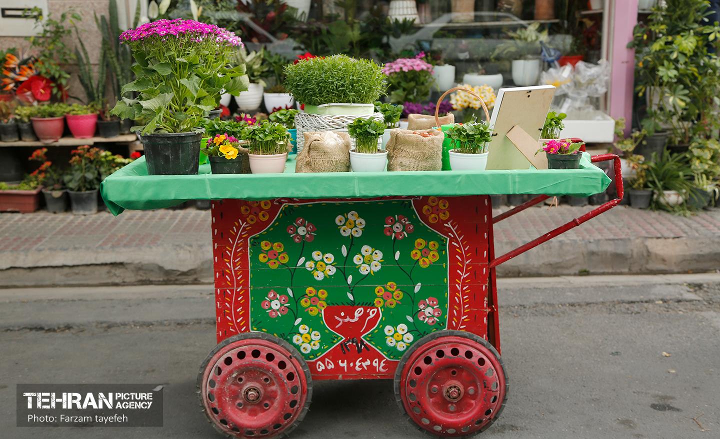 آیین محله تکانی در شهرک بیمه 1