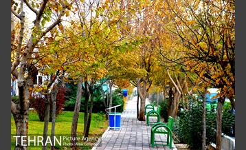 بوستان پارسیان 2