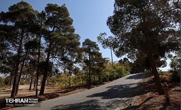 بازدید اصحاب رسانه از روند انجام عملیات احیای چیتگر 43