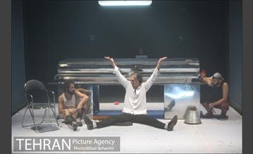 نمایش موی سیاه خرس زخمی 9