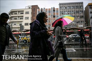 بارش باران بهاری در تهران 13