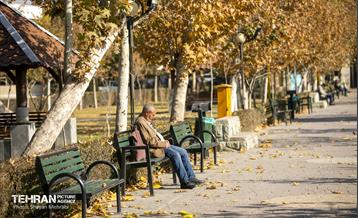 سمفونی رنگ های پاییزی - بوستان رازی 23