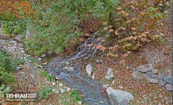 ­اکوپارک رود دره فرحزاد 43