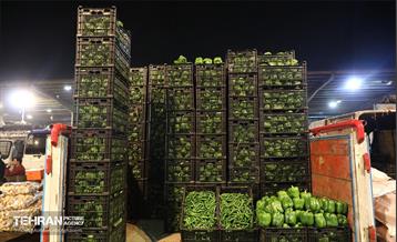 تره‌بار یلدایی 63