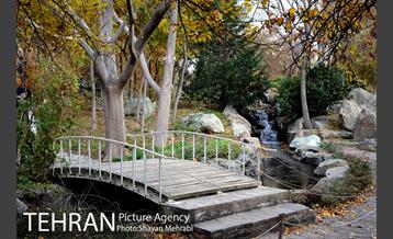 باغ گیاه‌شناسی ملی ایران 46