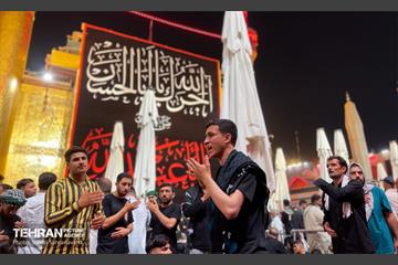 حرم مطهر امام علی (ع) در آستانه اربعین حسینی 19