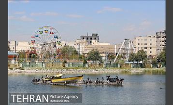 حضور پرندگان مهاجر در تهران 12