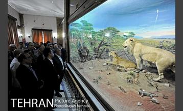 مراسم کلنگ زنی پلازای خیابان دعوتی 13