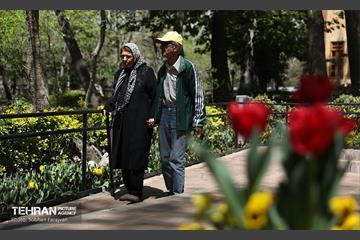 باغ ایرانی میزبان لاله‌ها 47
