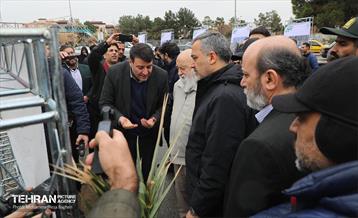 آغاز کاشت ۲۵ هزار اصله نهال غیرمثمر در بوستان چیتگر 26