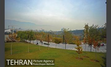 پاییز منطقه گردشگری اراضی عباس آباد 17