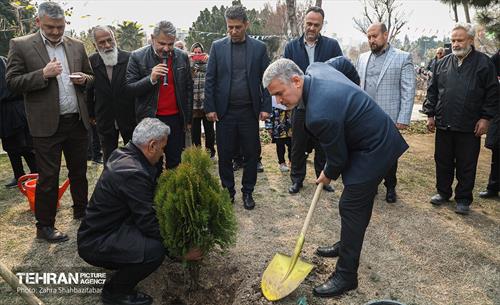 مراسم درختکاری در منطقه 15 5