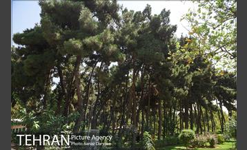 بوستان رسالت 24