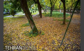 پاییز پارک شهر 32