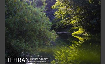 باغ گیاه شناسی ملی ایران  28