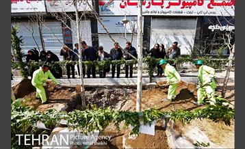 مراسم احیای درختان خیابان ولیعصر (عج) 19