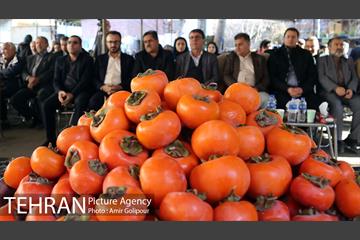 نخستین جشنواره خرمالو در روستای کشار سفلی 20