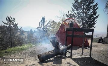 روز طبیعت در پارک جنگلی لویزان 36