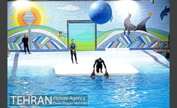 حضور خانواده هاى کارکنان شهردارى تهران در دلفیناریوم برج میلاد به همراه شهردار تهران 11