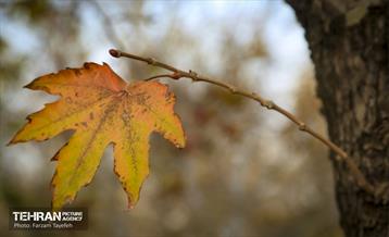 گذرگاه های پاییزی پایتخت - منطقه 5