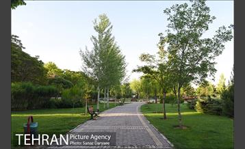 بوستان پلیس 20