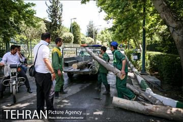 آماده سازی دانشگاه تهران برای نماز جمعه 27