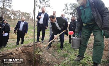 غرس 2000 نهال در بوستان جنگلی سرخه‌ حصار 10