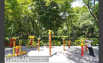 باغ ایرانی 8