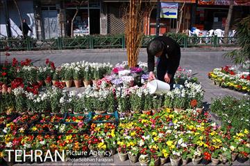 نمایشگاه گل و گیاه نوروزی در پیاده راه ۱۷ شهریور
