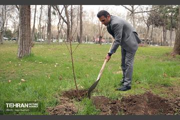 کاشت درخت توسط هنرمندان در فرهنگسرای نیاوران 9