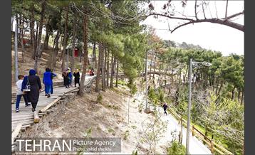 بوستان طالقانی 5