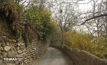 ششمین جشنواره خرمالو 22