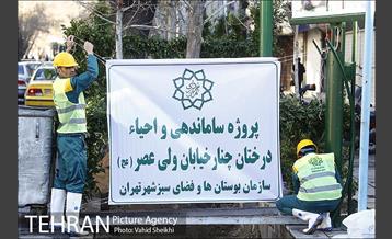 مراسم کاشت درخت در خیابان ولیعصر  3