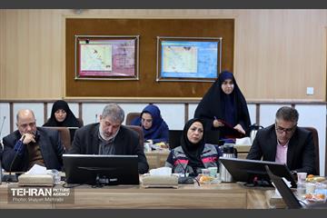 بازدید کمیسیون برنامه و بودجه شورای شهر از پروژه‌های منطقه 11 8
