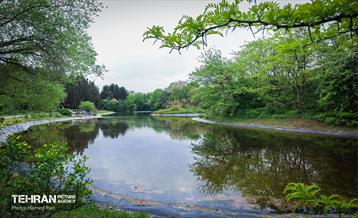 باغ گیاه‌شناسی 48