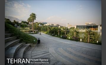 شهرنگار؛ باغ هنر 4