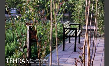 باغ راز هستی 13