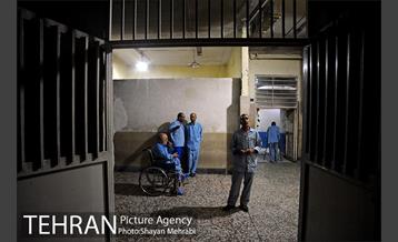 گرمخانه ها 12