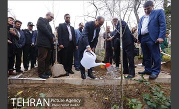 آیین "کاشت نهال به یاد فرشتگان ماندگار اهدا عضو" با حضور شهردار تهران 24