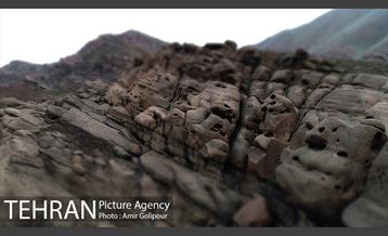 وردیج ، دنیایی از زیبایی 35