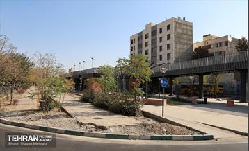 به وقت خدمت؛ باغ‌راه حضرت زهرا(س) محدوده آیت الله سعیدی 35