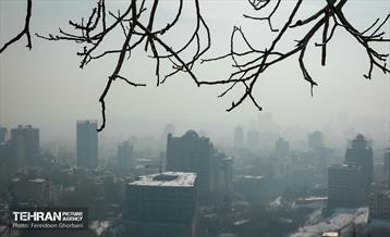 شهر آلوده / فریدون قربانی