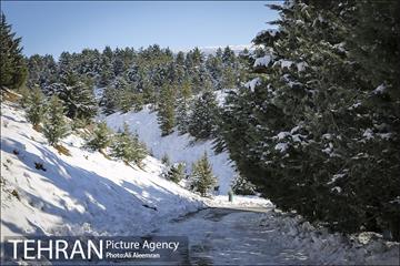 طبیعت برفی تلو 26