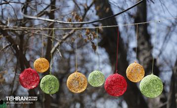 طرح نوروزی آرامش بهاری در آستان مقدس امامزاده شعیب علیه السلام  4