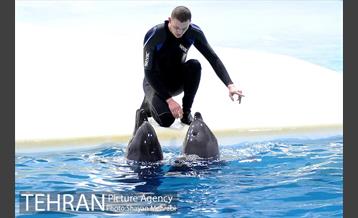 حضور خانواده هاى کارکنان شهردارى تهران در دلفیناریوم برج میلاد به همراه شهردار تهران 10