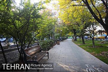 طبیعت پاییزی بلوار کشاورز 23
