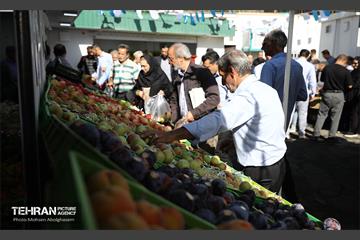افتتاح ۲ بازار میوه و تره‌بار در تهران 10