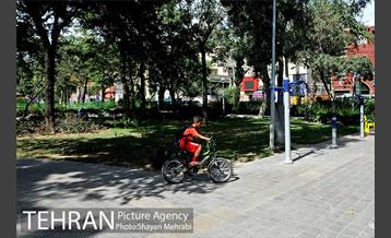 بوستان هفت چنار 5