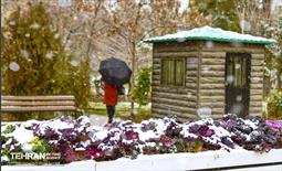 بارش برف زمستانی در منطقه 14